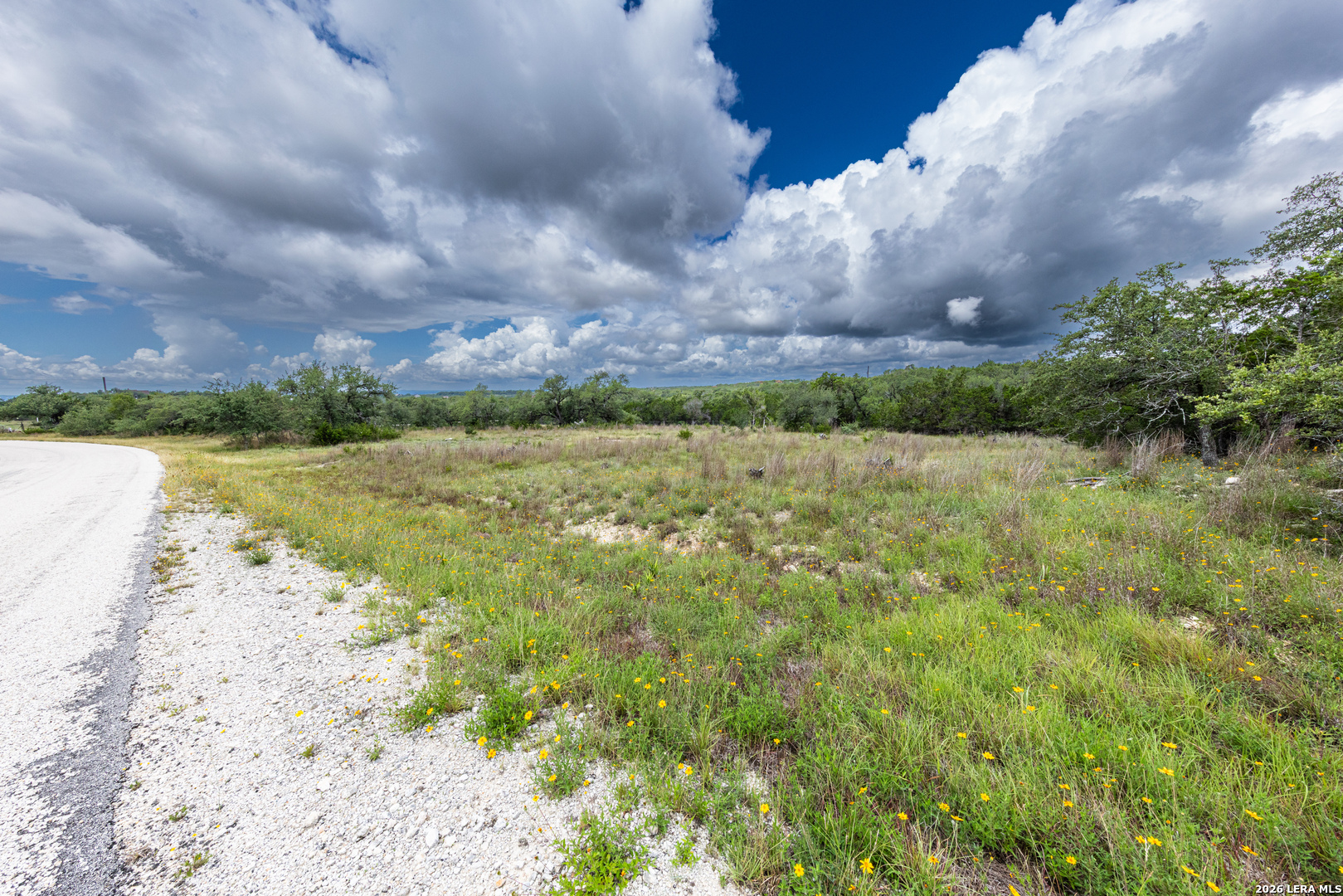 563 Abodar Trail Spring Branch, TX 78070 - Photo 6 of 55