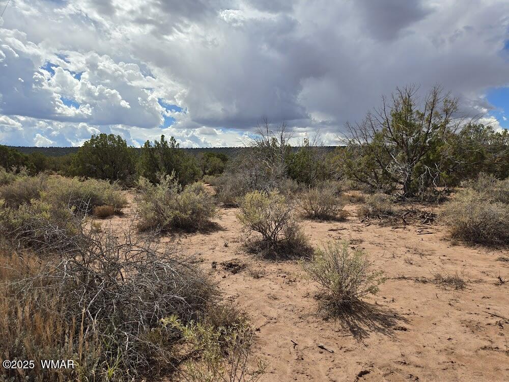 4012 Colt Road Snowflake, AZ 85937 - Photo 1 of 19 20250925_122124