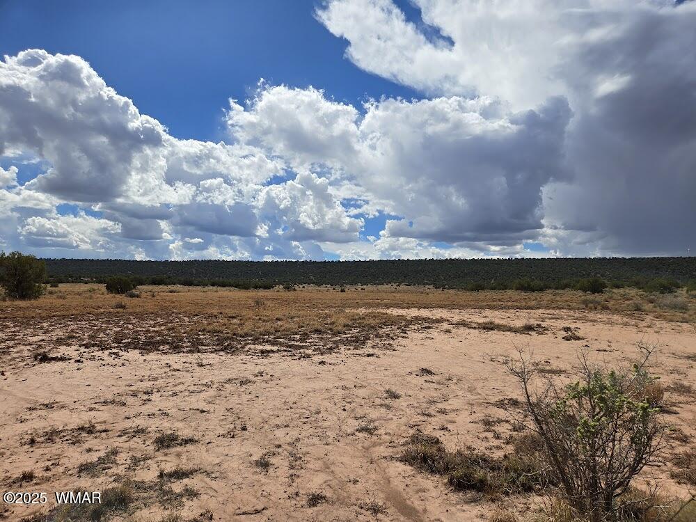 4012 Colt Road Snowflake, AZ 85937 - Photo 11 of 19 20250925_121655
