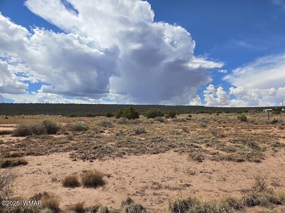 4012 Colt Road Snowflake, AZ 85937 - Photo 12 of 19 20250925_121633