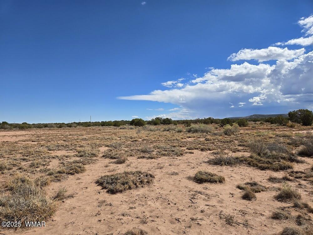 4012 Colt Road Snowflake, AZ 85937 - Photo 15 of 19 20250925_121614