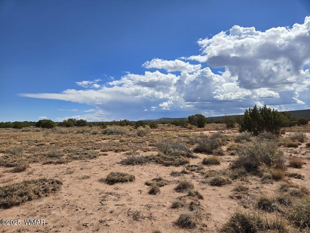4012 Colt Road Snowflake, AZ 85937 - Photo 16 of 19 20250925_121612