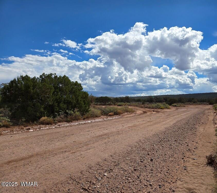 4012 Colt Road Snowflake, AZ 85937 - Photo 2 of 19 20250925_122149