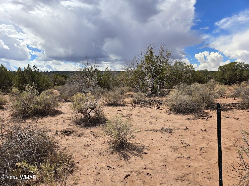 4012 Colt Road Snowflake, AZ 85937 - Photo 3 of 19 20250925_122123