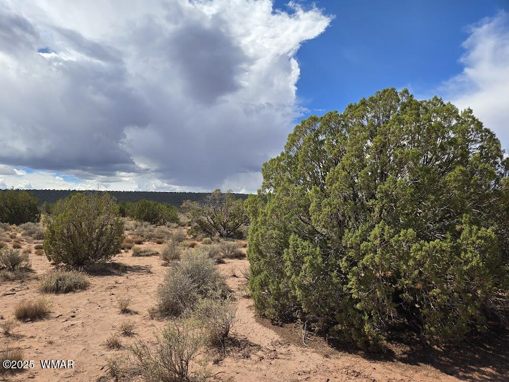 4012 Colt Road Snowflake, AZ 85937 - Photo 4 of 19 20250925_122047