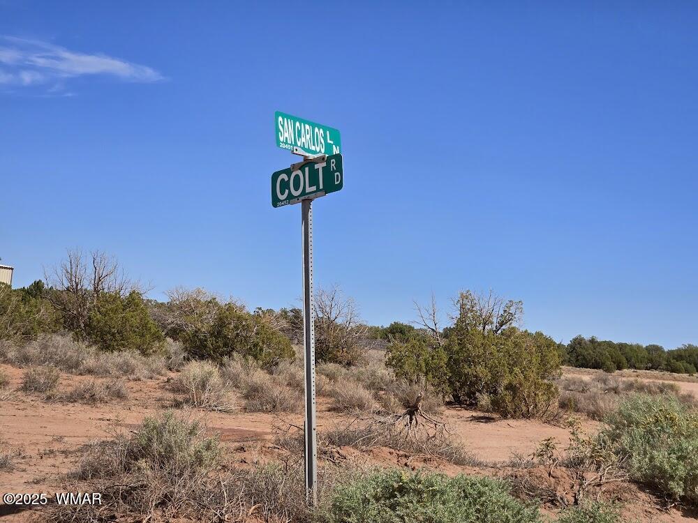 4012 Colt Road Snowflake, AZ 85937 - Photo 7 of 19 20250925_122015
