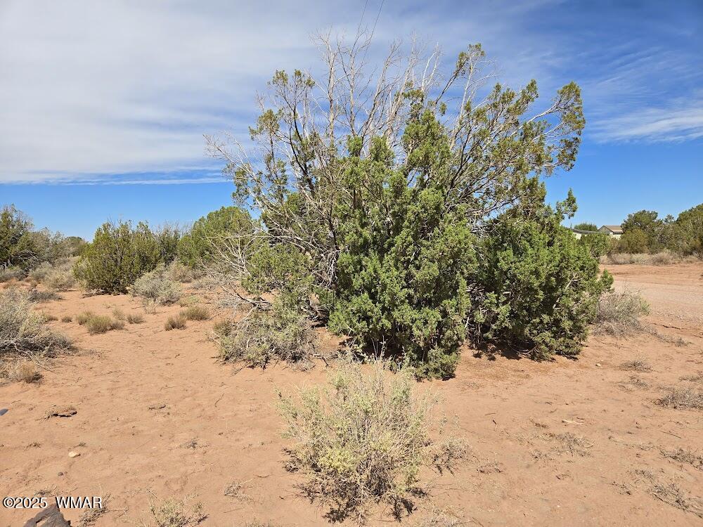 4012 Colt Road Snowflake, AZ 85937 - Photo 9 of 19 20250925_121947