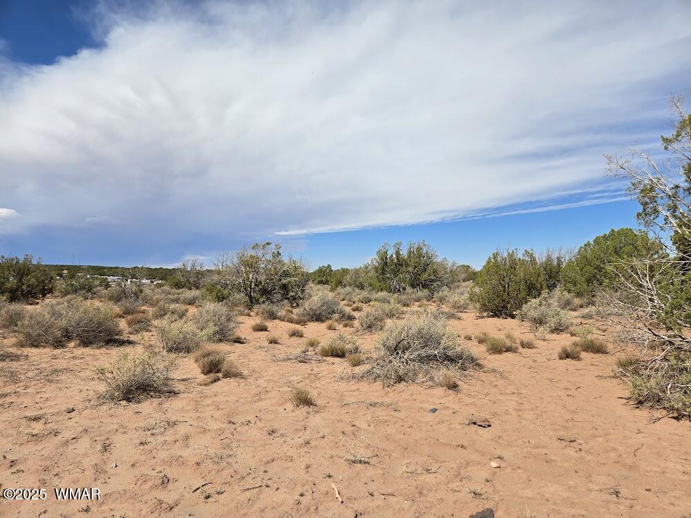 4012 Colt Road Snowflake, AZ 85937 - Photo 10 of 19 20250925_121944