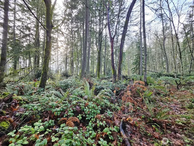 $175,000 | 1906 Northeast Paulson Road, Poulsbo, WA 98370