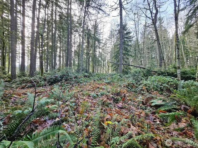 $175,000 | 1906 Northeast Paulson Road, Poulsbo, WA 98370