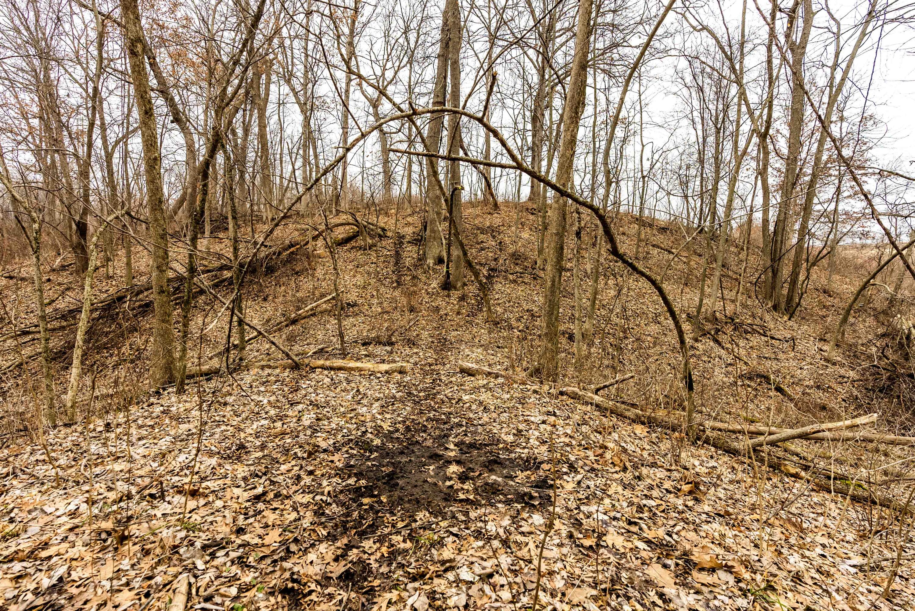 Lt2 St Charles Road Cassville, WI 53806 - Photo 11 of 17 Grant-County-WI-16-Acres-Land-For-Sale-1