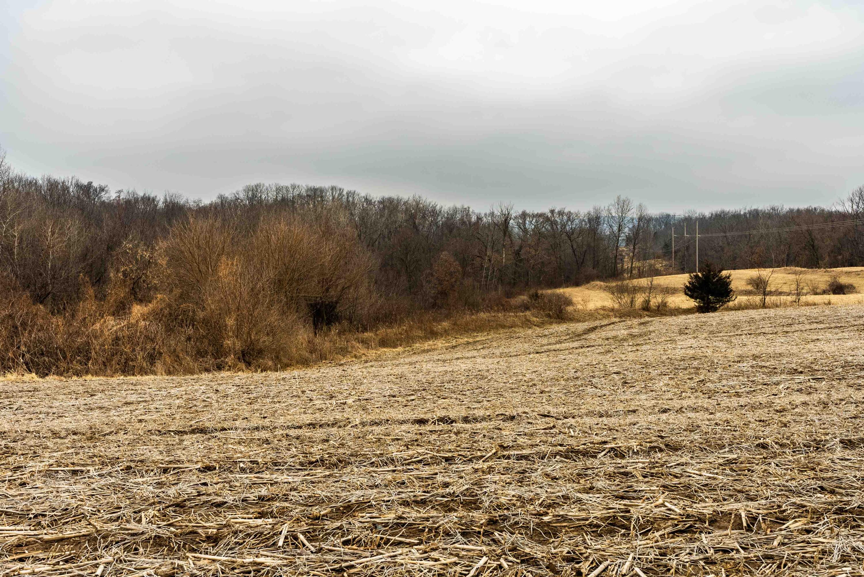 Lt2 St Charles Road Cassville, WI 53806 - Photo 15 of 17 Grant-County-WI-16-Acres-Land-For-Sale-1