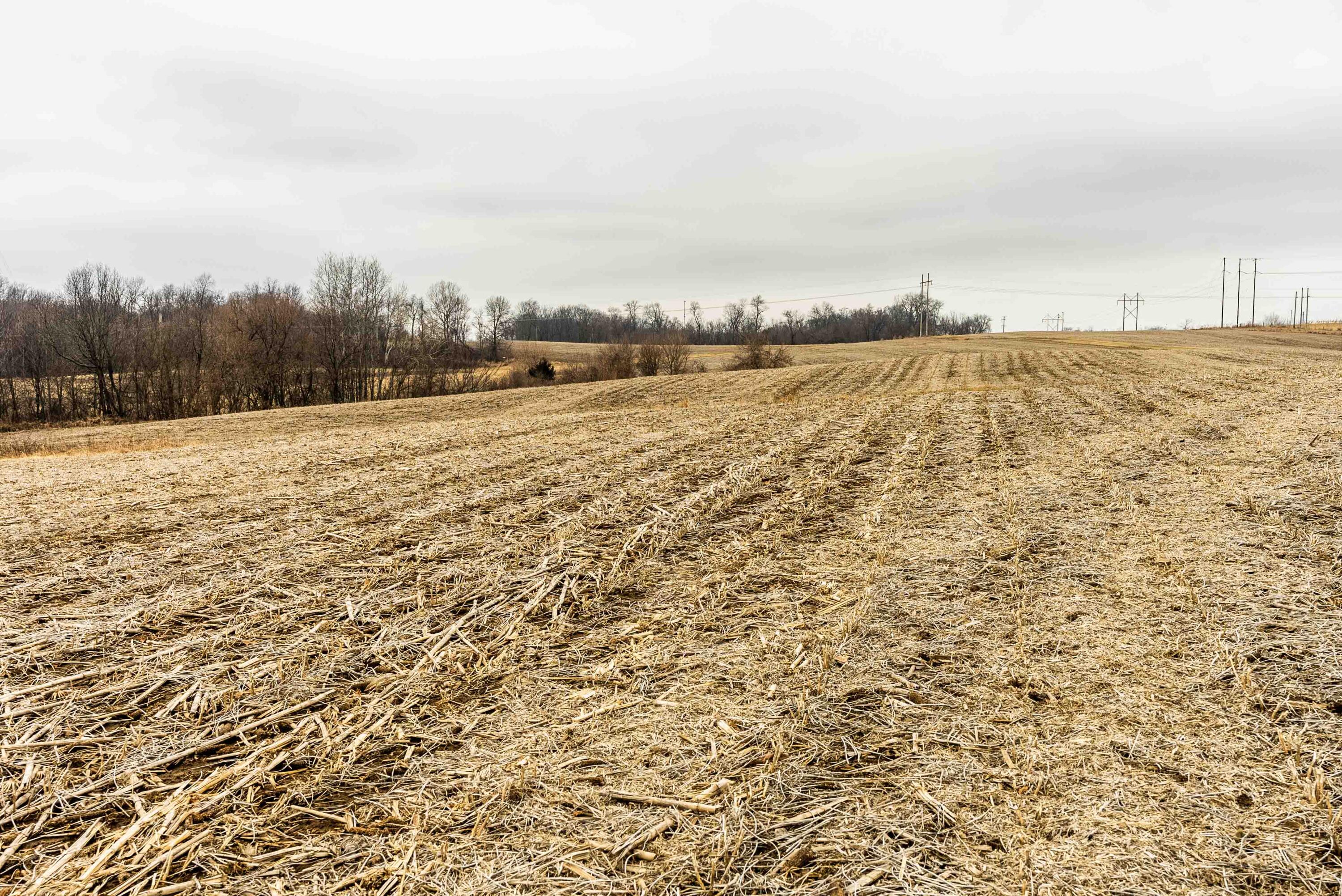 Lt2 St Charles Road Cassville, WI 53806 - Photo 6 of 17 Grant-County-WI-16-Acres-Land-For-Sale-5