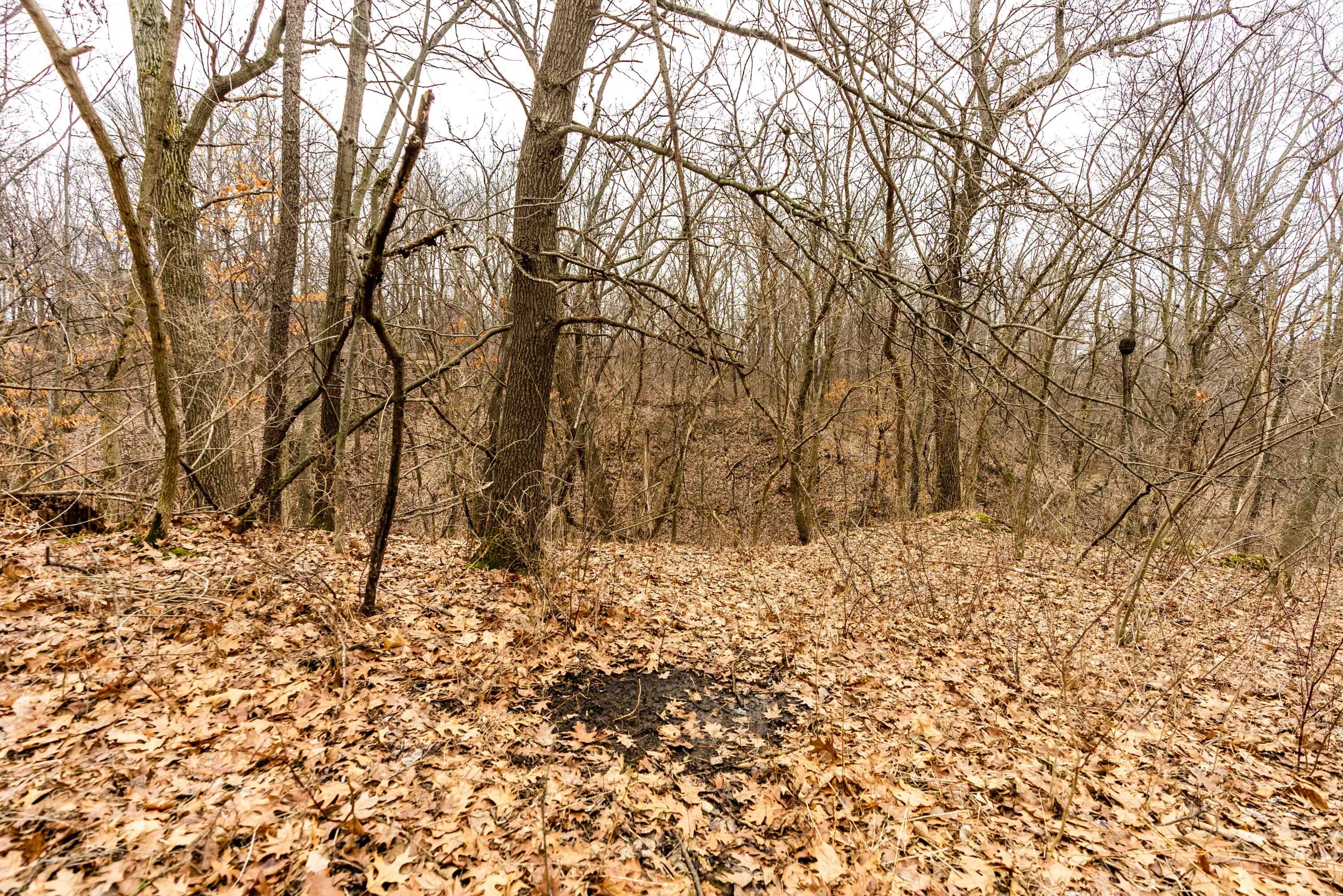 Lt2 St Charles Road Cassville, WI 53806 - Photo 9 of 17 Grant-County-WI-16-Acres-Land-For-Sale-8
