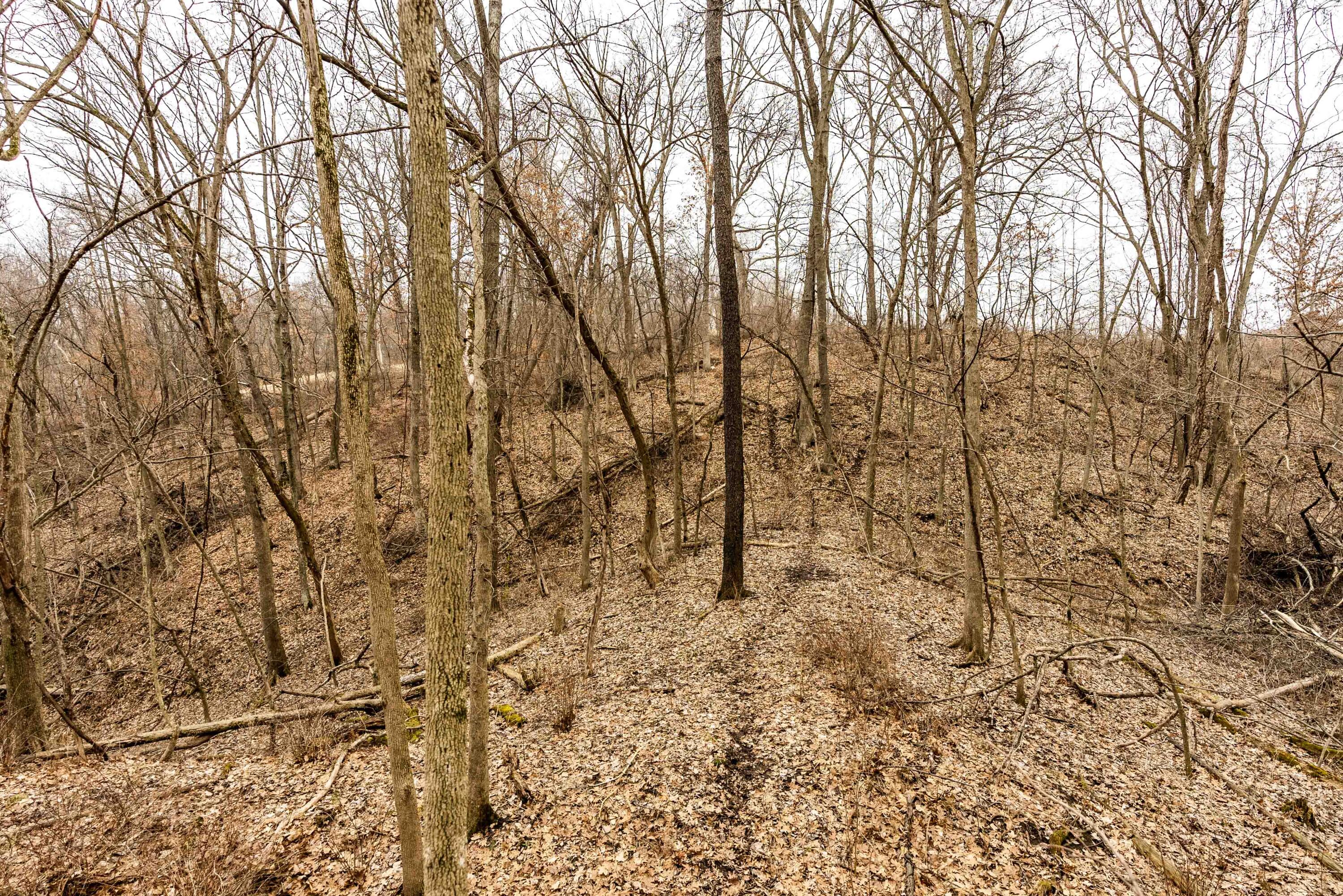 Lt2 St Charles Road Cassville, WI 53806 - Photo 10 of 17 Grant-County-WI-16-Acres-Land-For-Sale-9