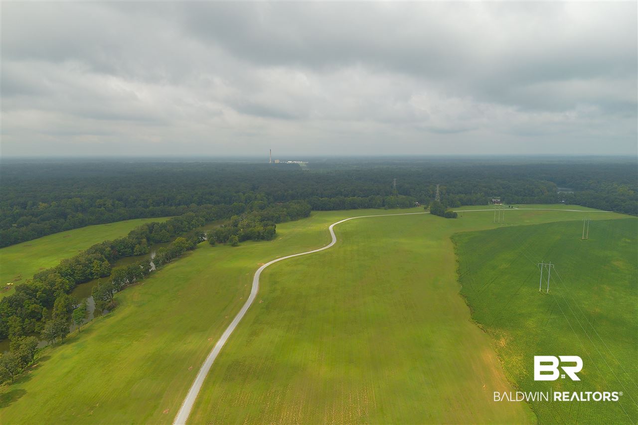 1 Jimmy Phillips Road Greensboro, AL 36744 - Photo 33 of 46