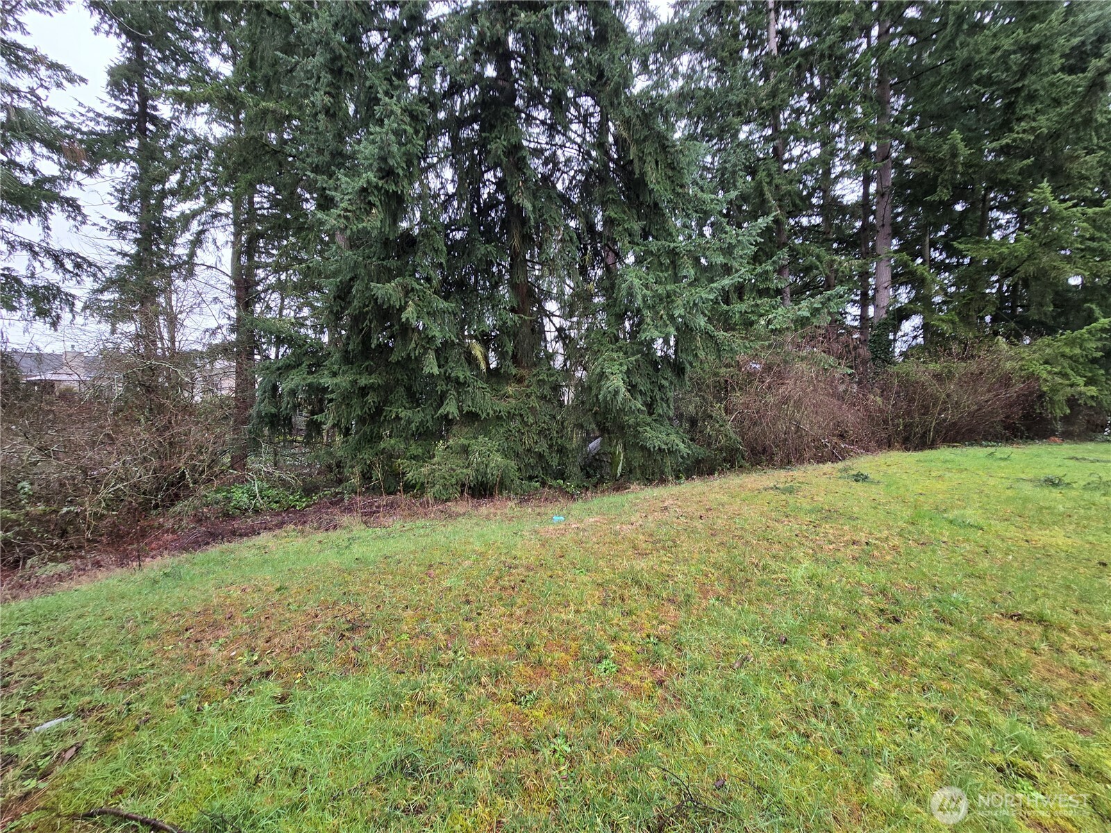 1223 Southwest 353rd Street Federal Way, WA 98023 - Photo 22 of 24
