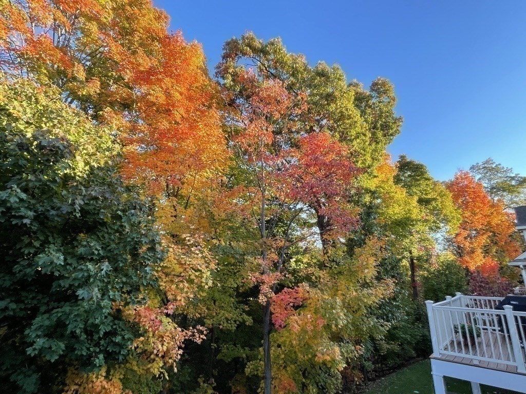 8 Graystone Circle Winchester, MA 01890 - Photo 38 of 41