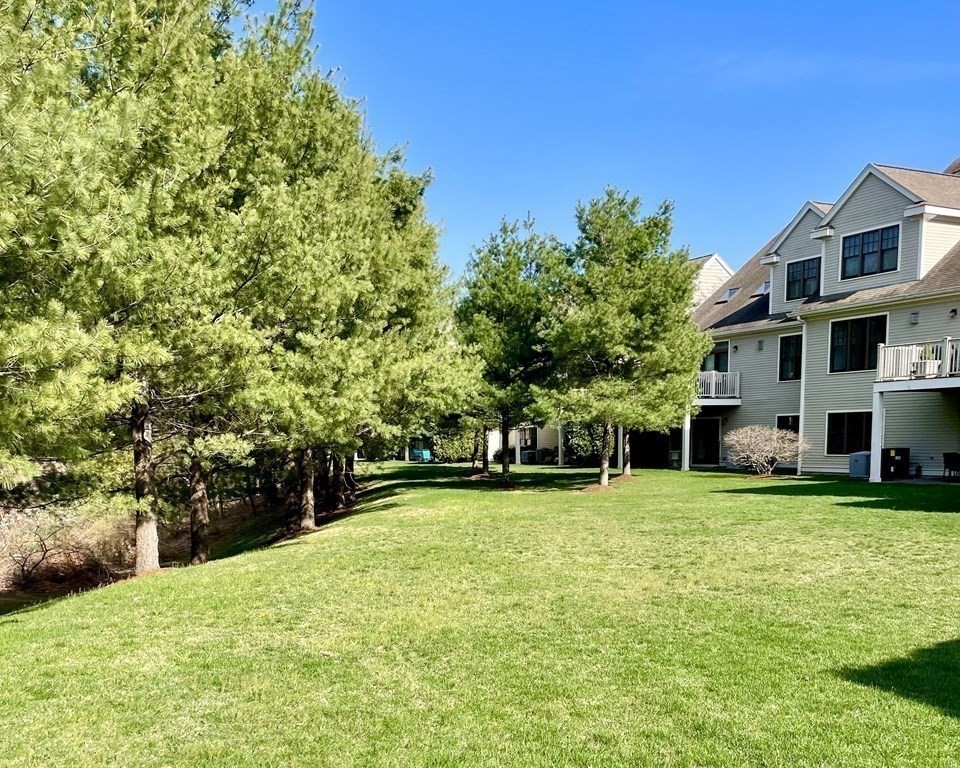 8 Graystone Circle Winchester, MA 01890 - Photo 40 of 41 a view of a large trees with a big yard and large trees