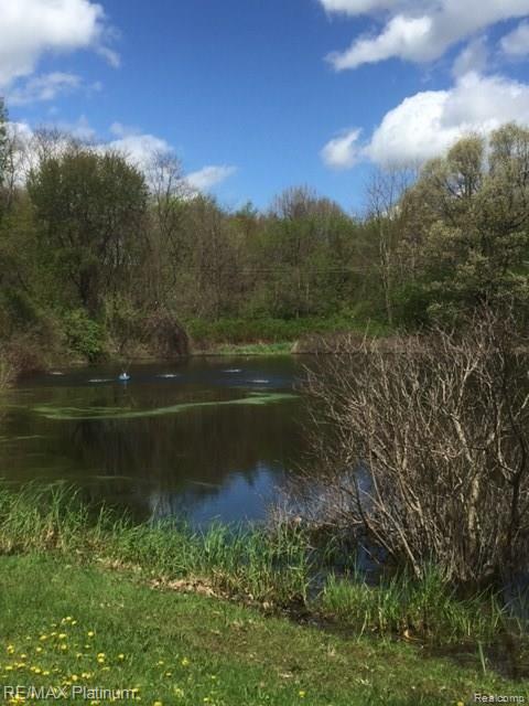 2755 North Hughes Road Howell, MI 48855 - Photo 54 of 57 IMG_4824.JPG