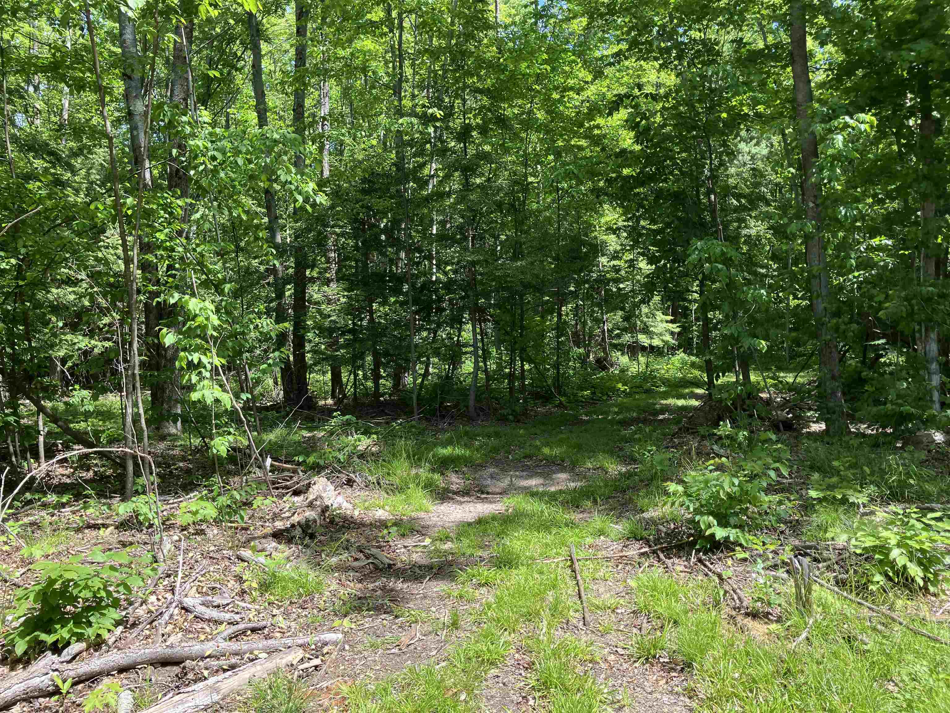 0 Cemetery Road Mancelona, MI 49659 - Photo 14 of 25