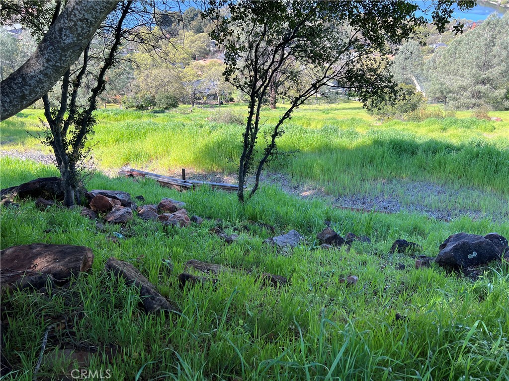 17282 Greenridge Road Hidden Valley Lake, CA 95467 - Photo 3 of 7 a view of a garden with a tree
