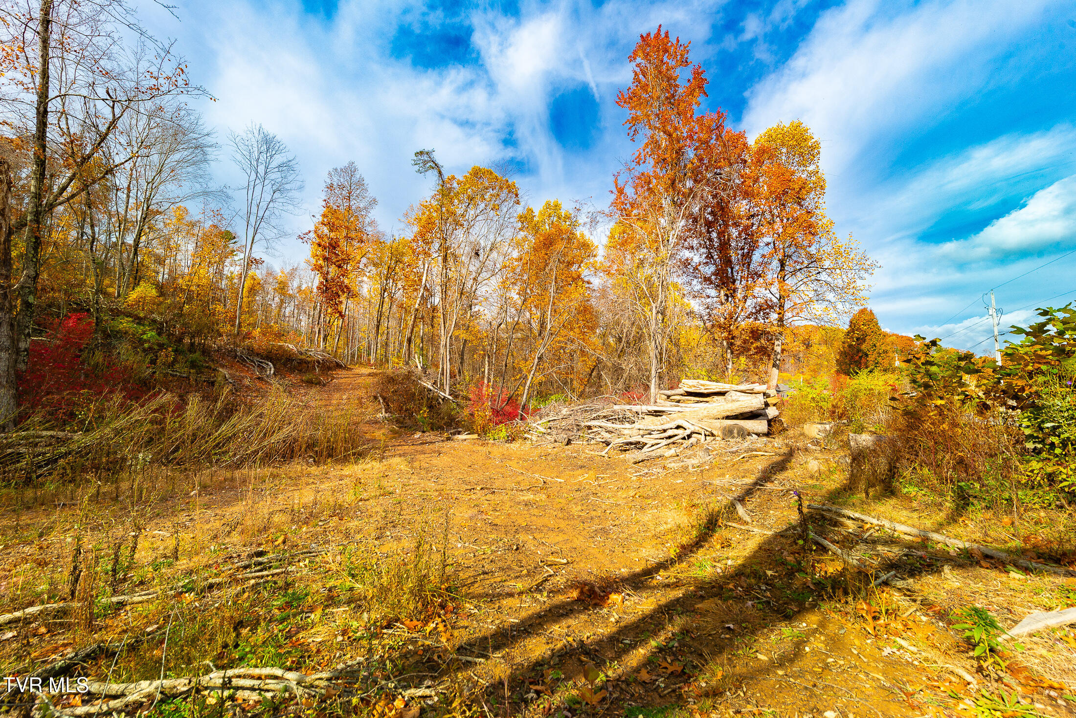 0 Siam Road Elizabethton, TN 37643 - Photo 2 of 39 DSC_3854