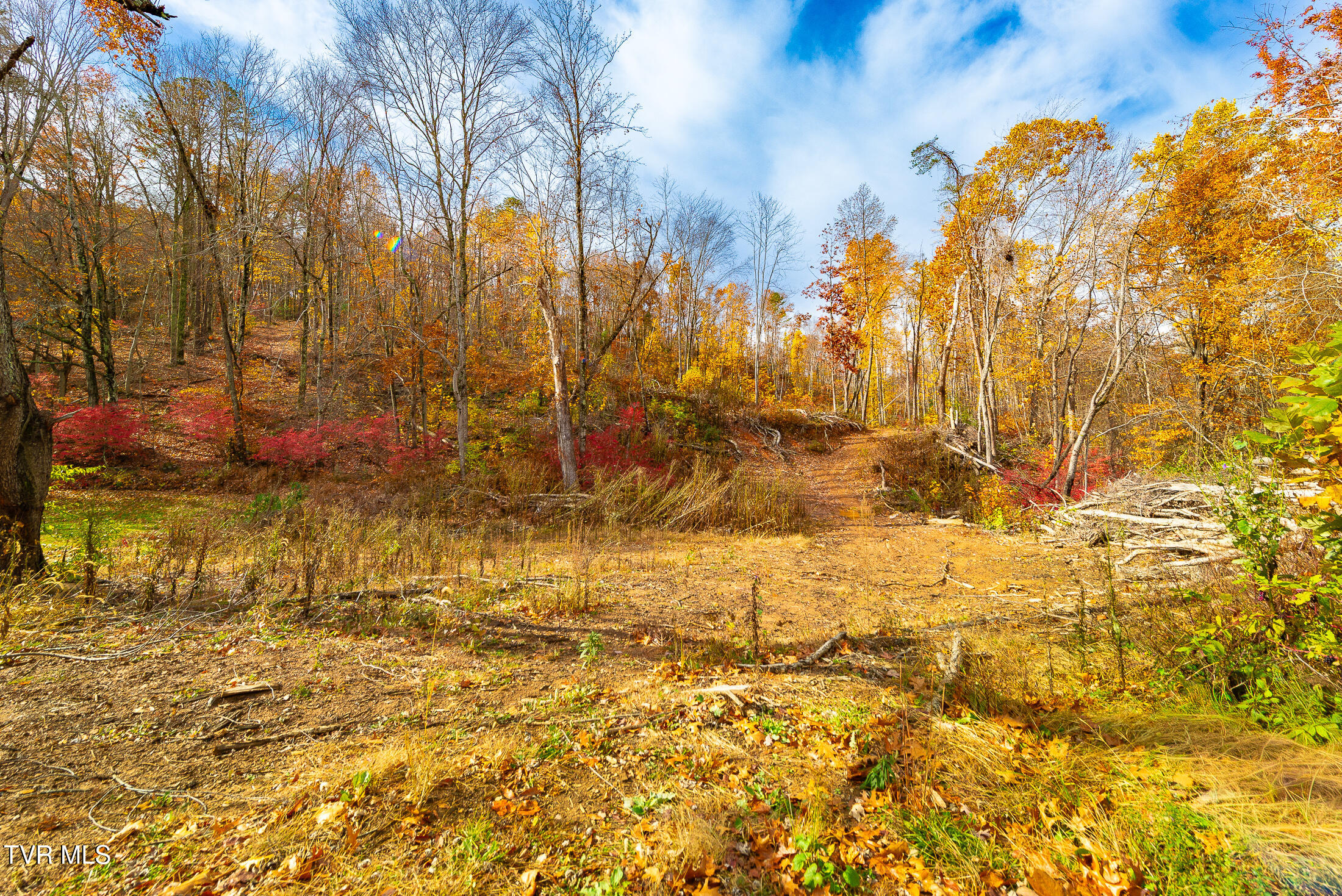 0 Siam Road Elizabethton, TN 37643 - Photo 21 of 39 DSC_3850