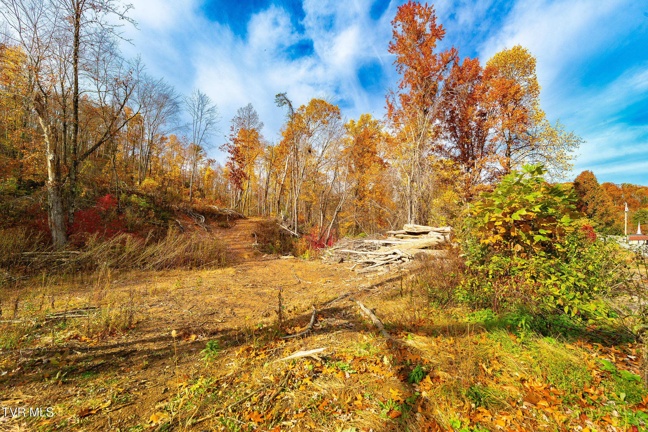 0 Siam Road Elizabethton, TN 37643 - Photo 22 of 39 DSC_3852