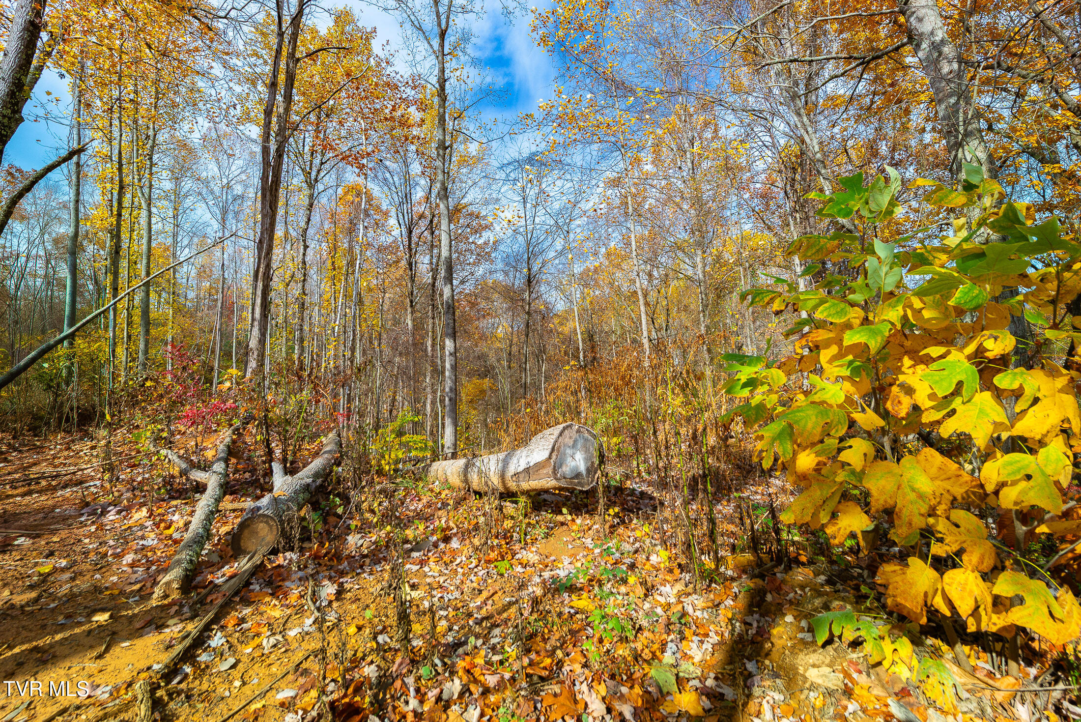 0 Siam Road Elizabethton, TN 37643 - Photo 23 of 39 DSC_3856