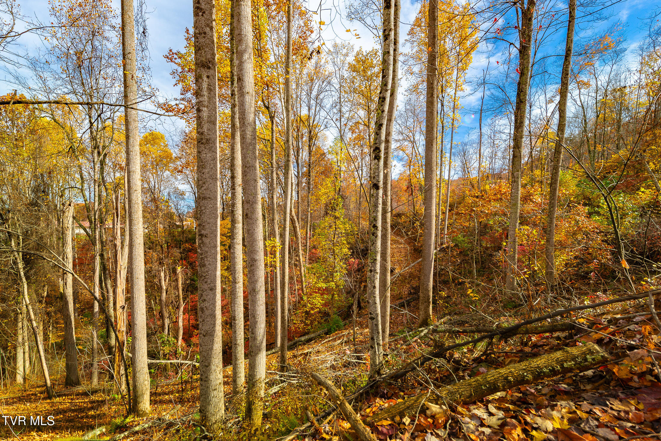 0 Siam Road Elizabethton, TN 37643 - Photo 24 of 39 DSC_3859