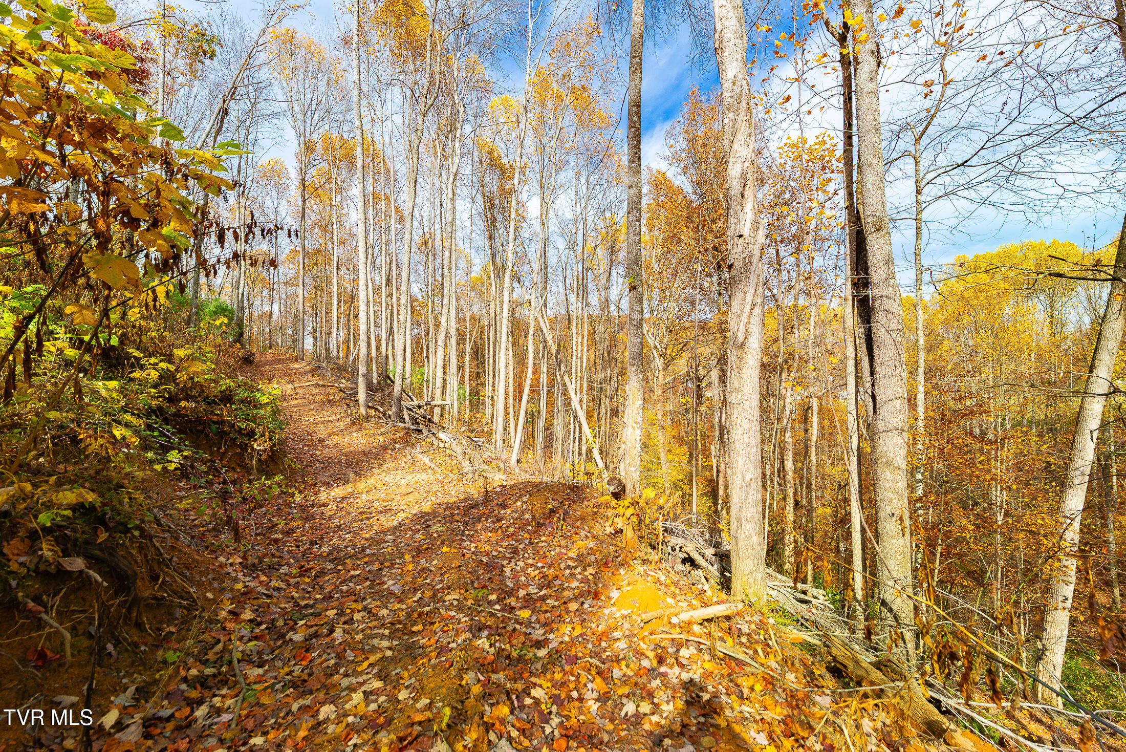 0 Siam Road Elizabethton, TN 37643 - Photo 25 of 39 DSC_3863