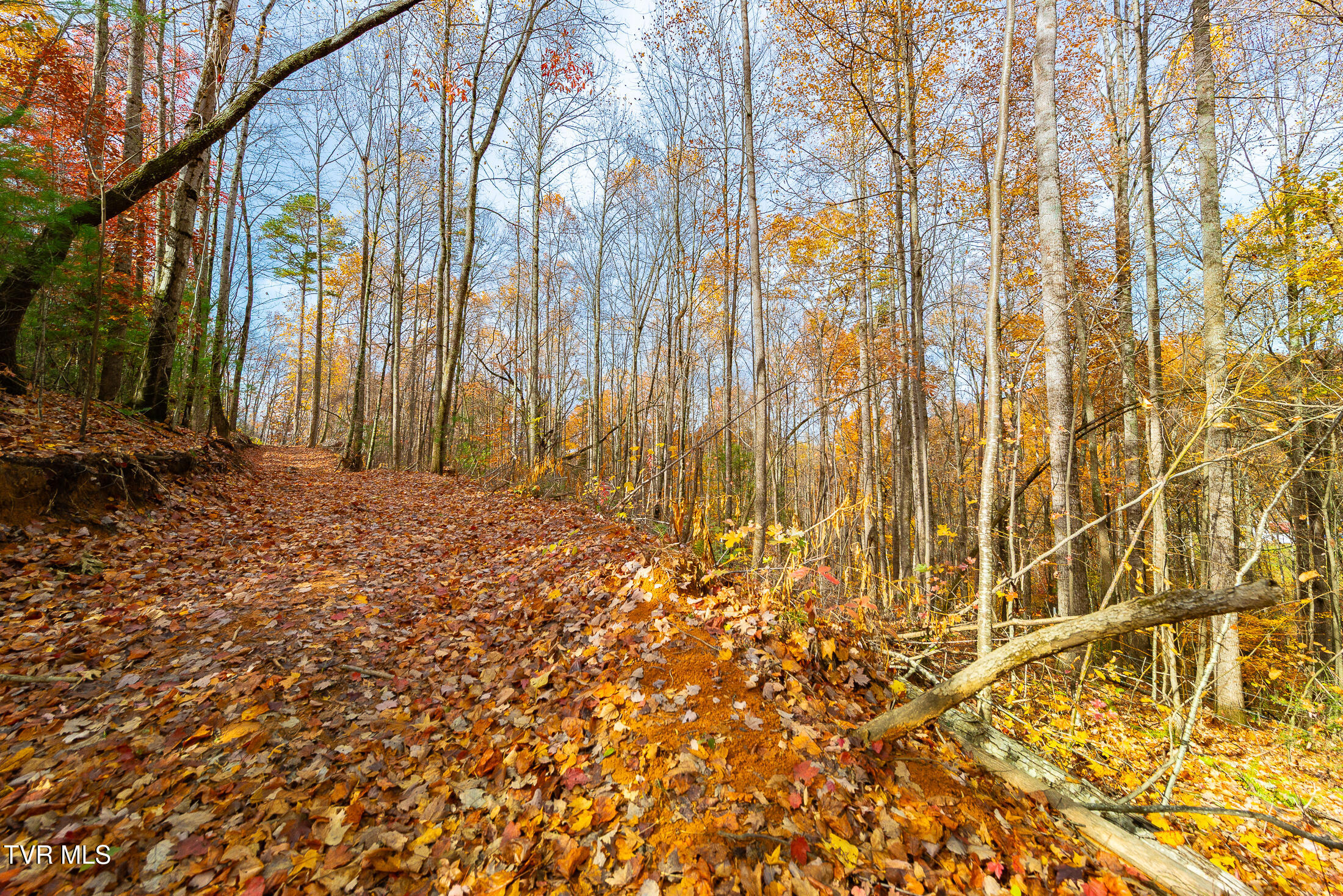 0 Siam Road Elizabethton, TN 37643 - Photo 26 of 39 DSC_3868