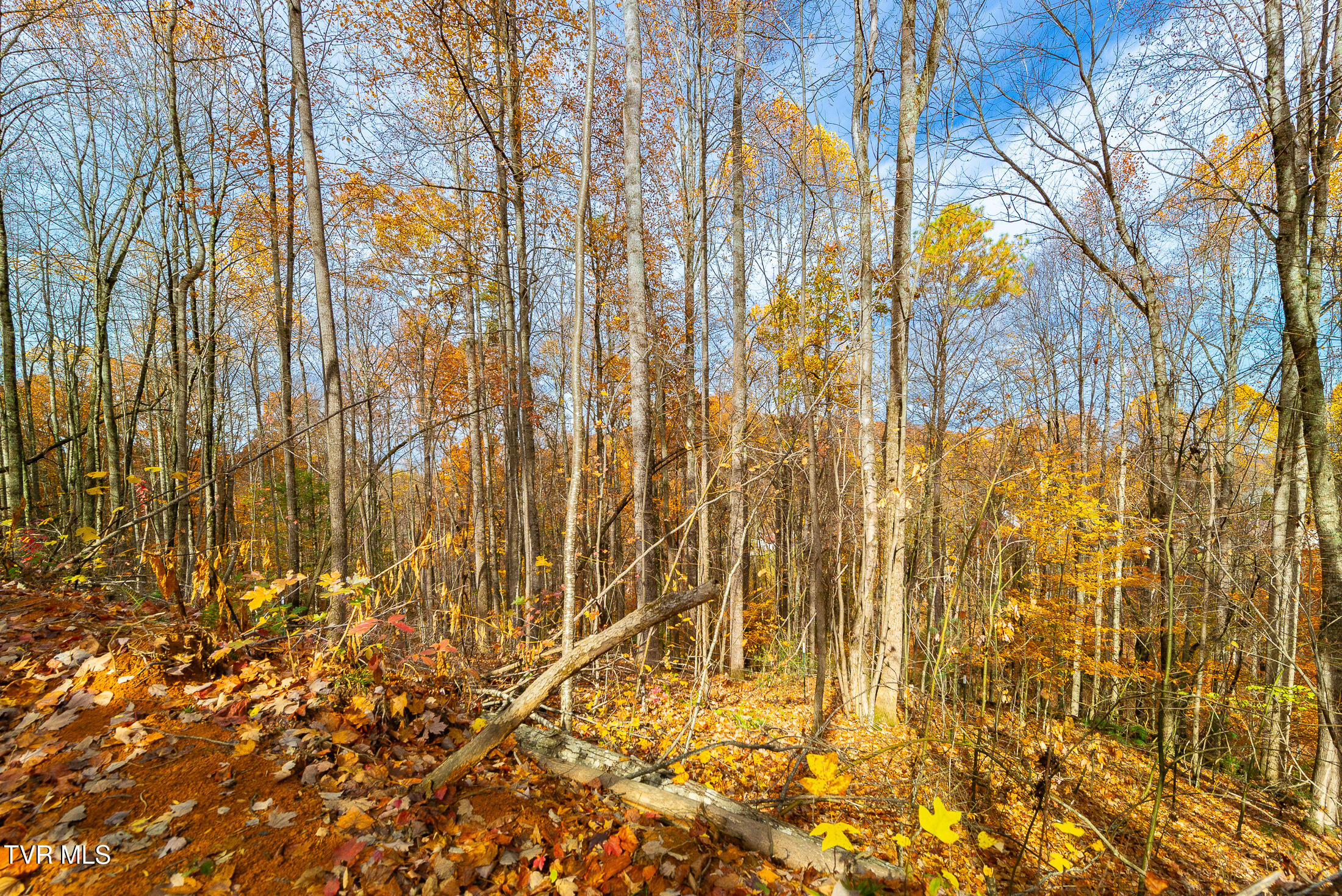 0 Siam Road Elizabethton, TN 37643 - Photo 27 of 39 DSC_3870