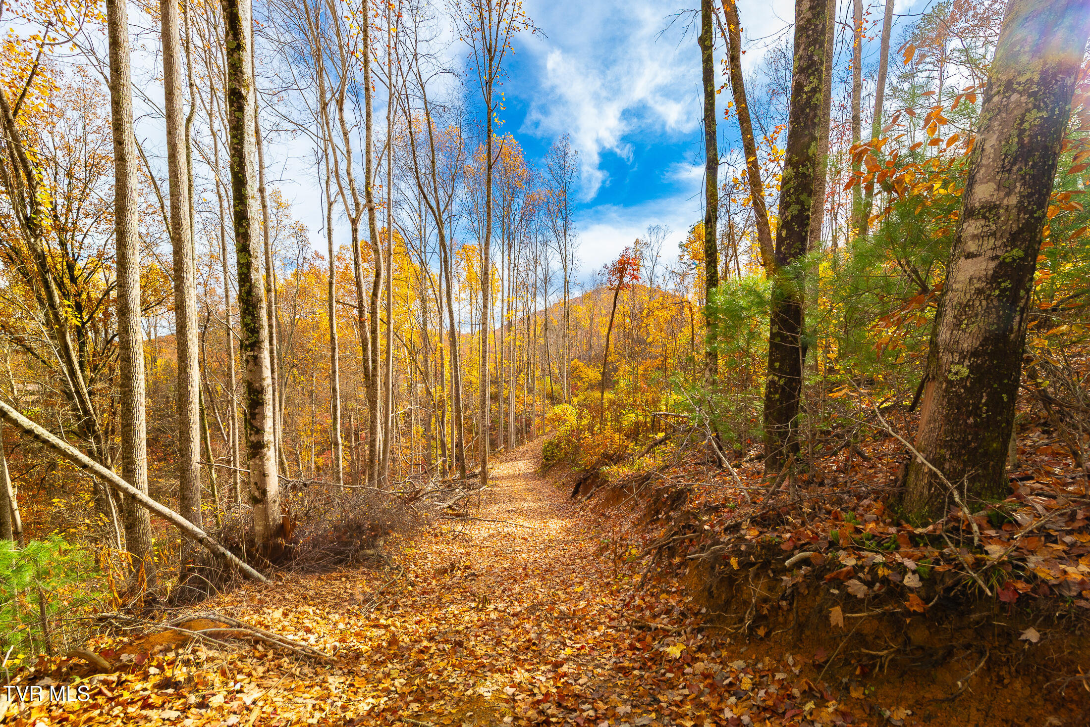 0 Siam Road Elizabethton, TN 37643 - Photo 28 of 39 DSC_3874