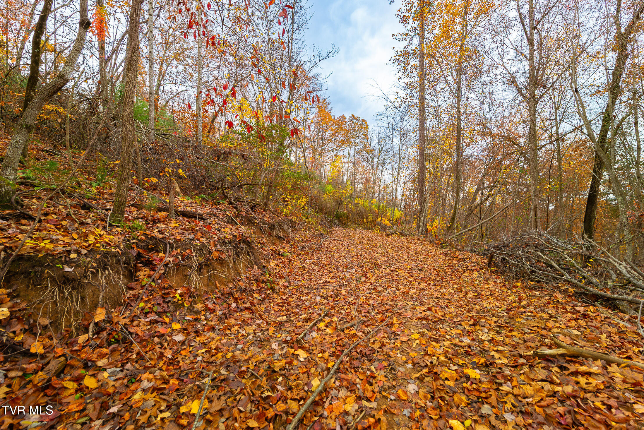 0 Siam Road Elizabethton, TN 37643 - Photo 29 of 39 DSC_3876