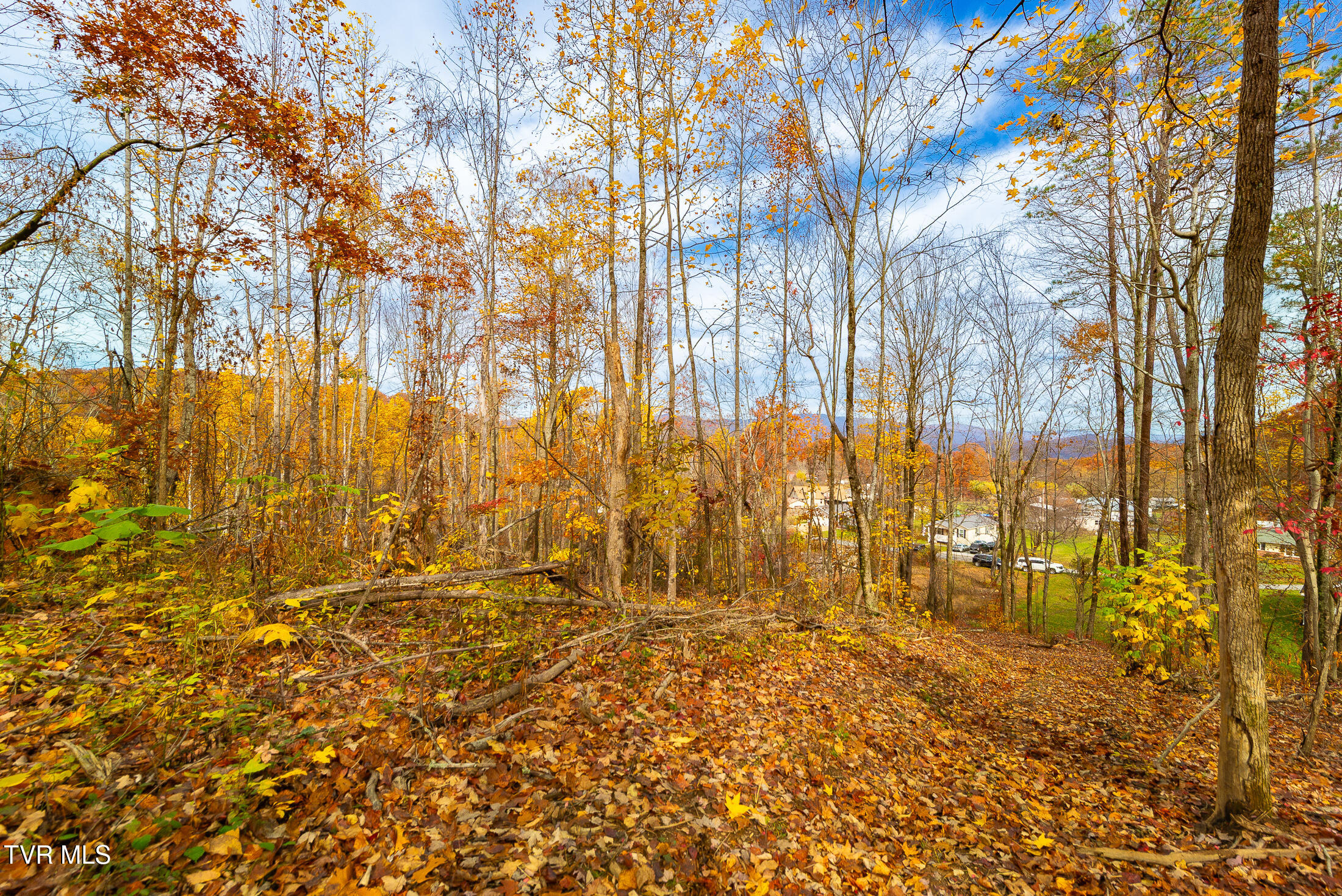 0 Siam Road Elizabethton, TN 37643 - Photo 30 of 39 DSC_3879