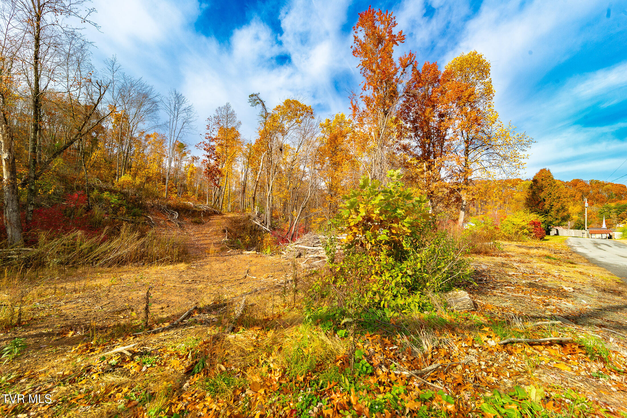 0 Siam Road Elizabethton, TN 37643 - Photo 3 of 39 DSC_3848