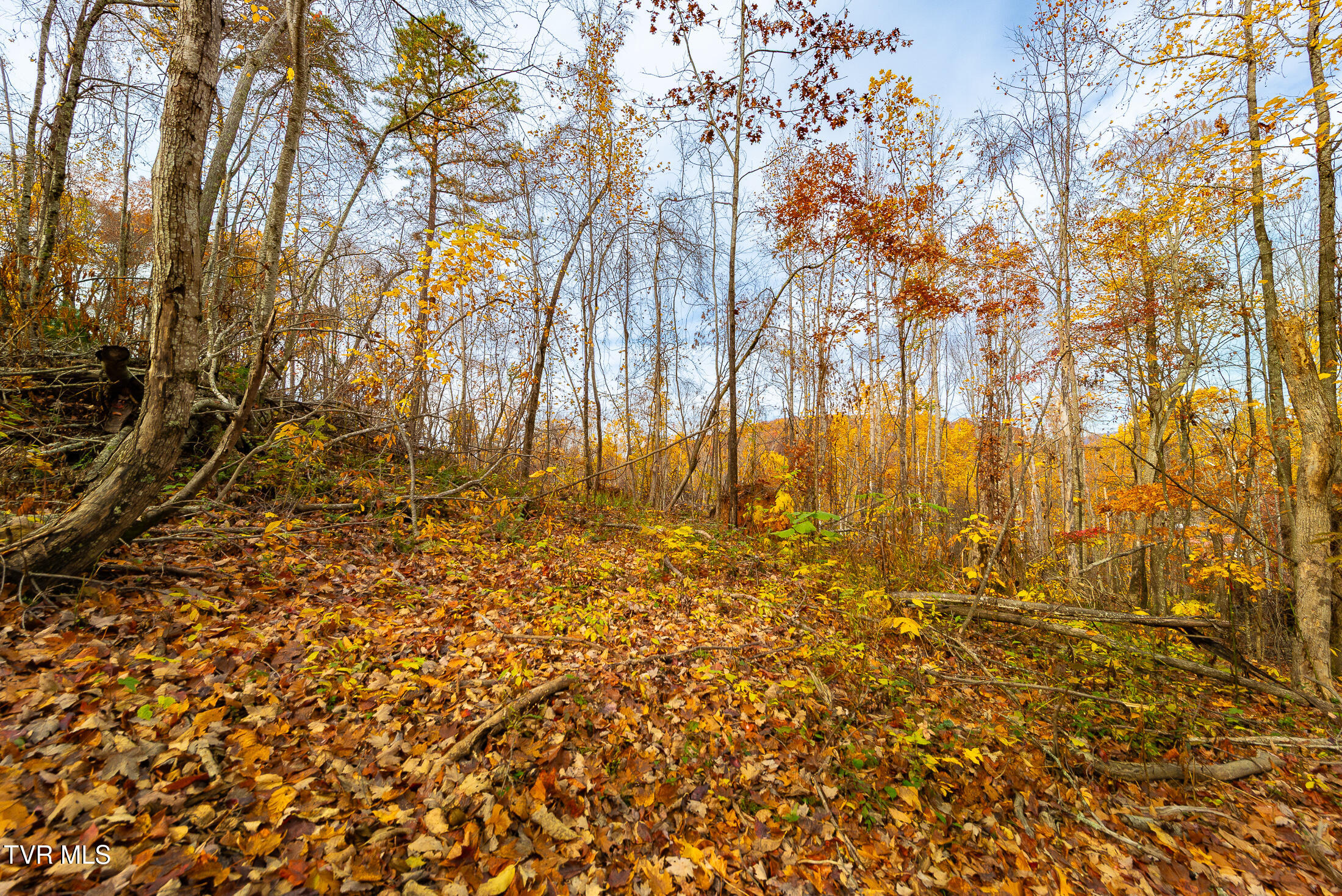 0 Siam Road Elizabethton, TN 37643 - Photo 31 of 39 DSC_3881