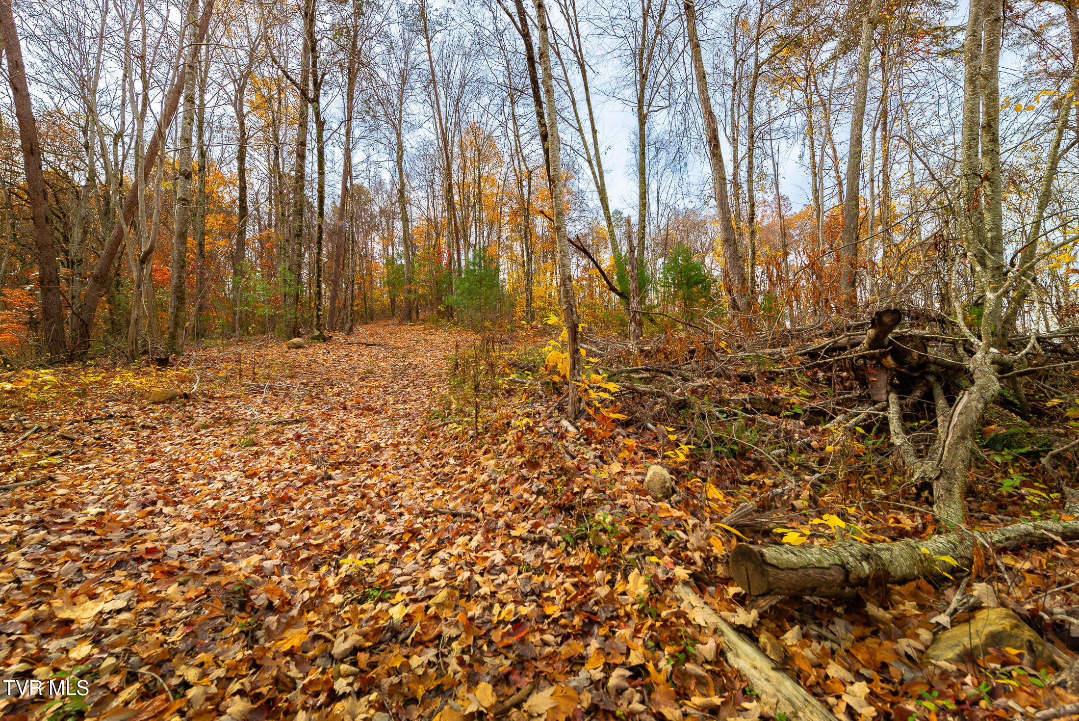 0 Siam Road Elizabethton, TN 37643 - Photo 32 of 39 DSC_3883