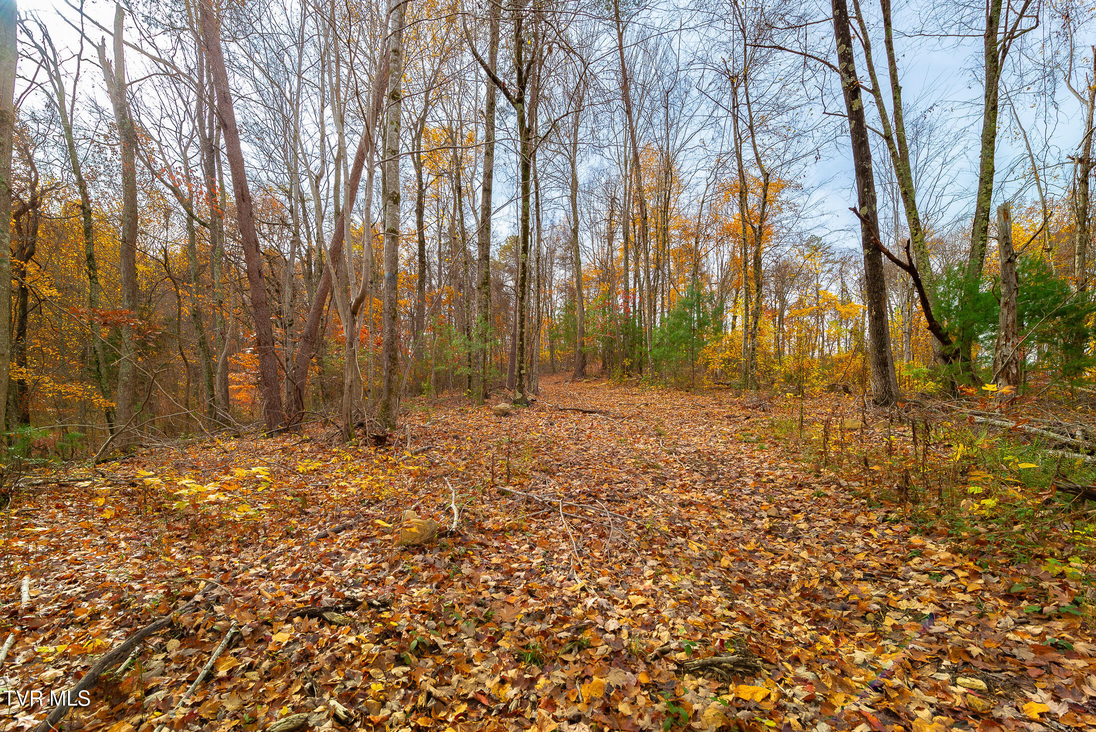 0 Siam Road Elizabethton, TN 37643 - Photo 33 of 39 DSC_3885