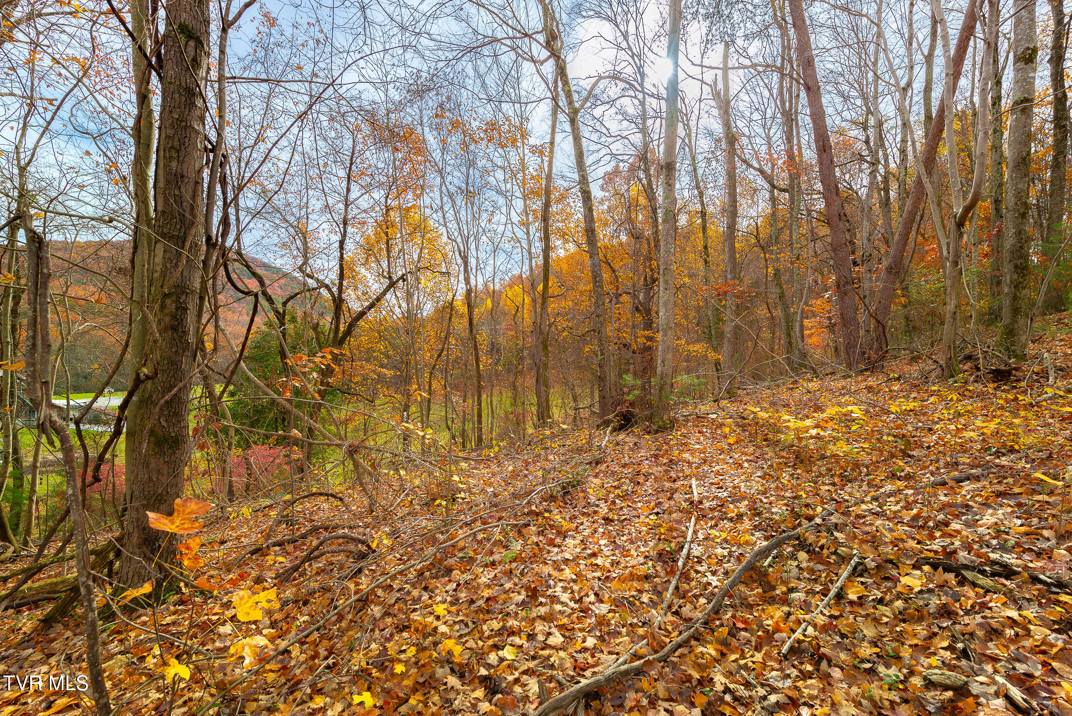 0 Siam Road Elizabethton, TN 37643 - Photo 34 of 39 DSC_3886