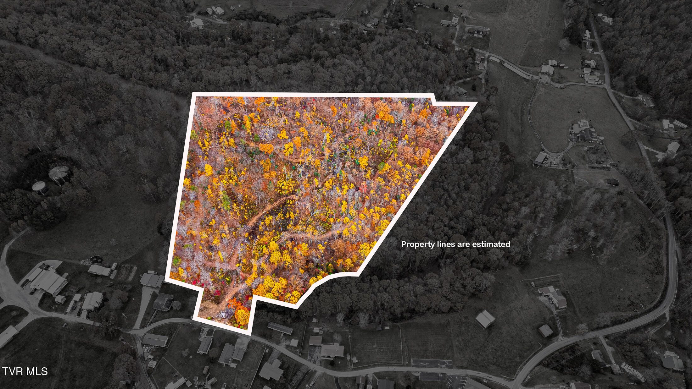 0 Siam Road Elizabethton, TN 37643 - Photo 35 of 39 DJI_0349-Edit