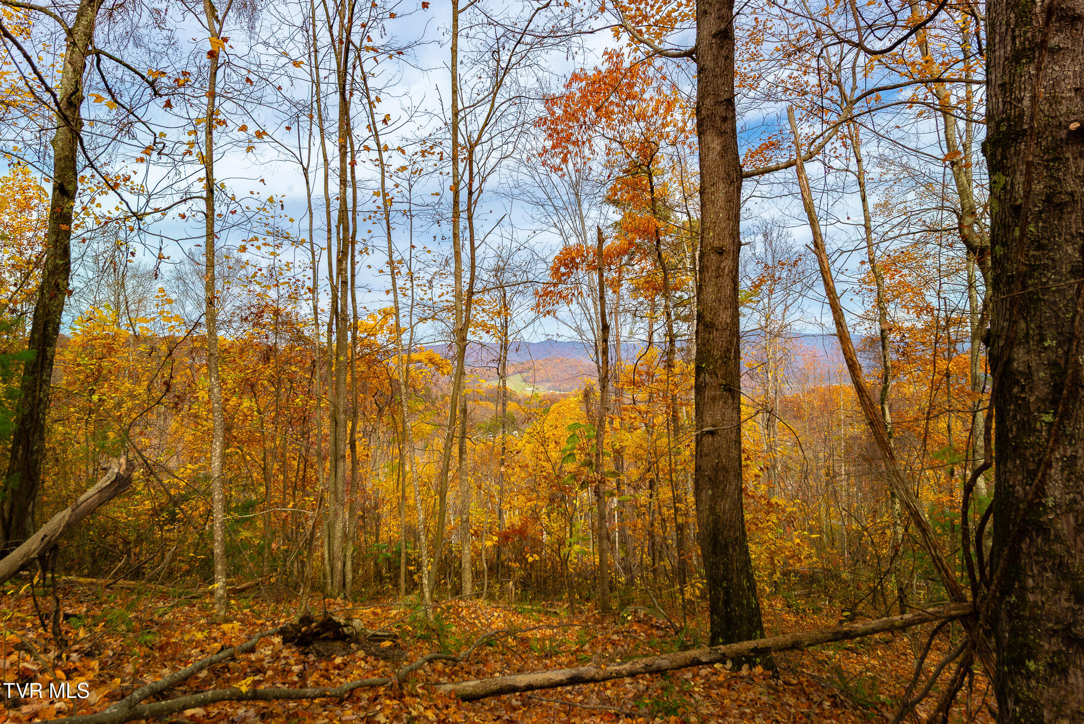 0 Siam Road Elizabethton, TN 37643 - Photo 37 of 39 DSC_3893