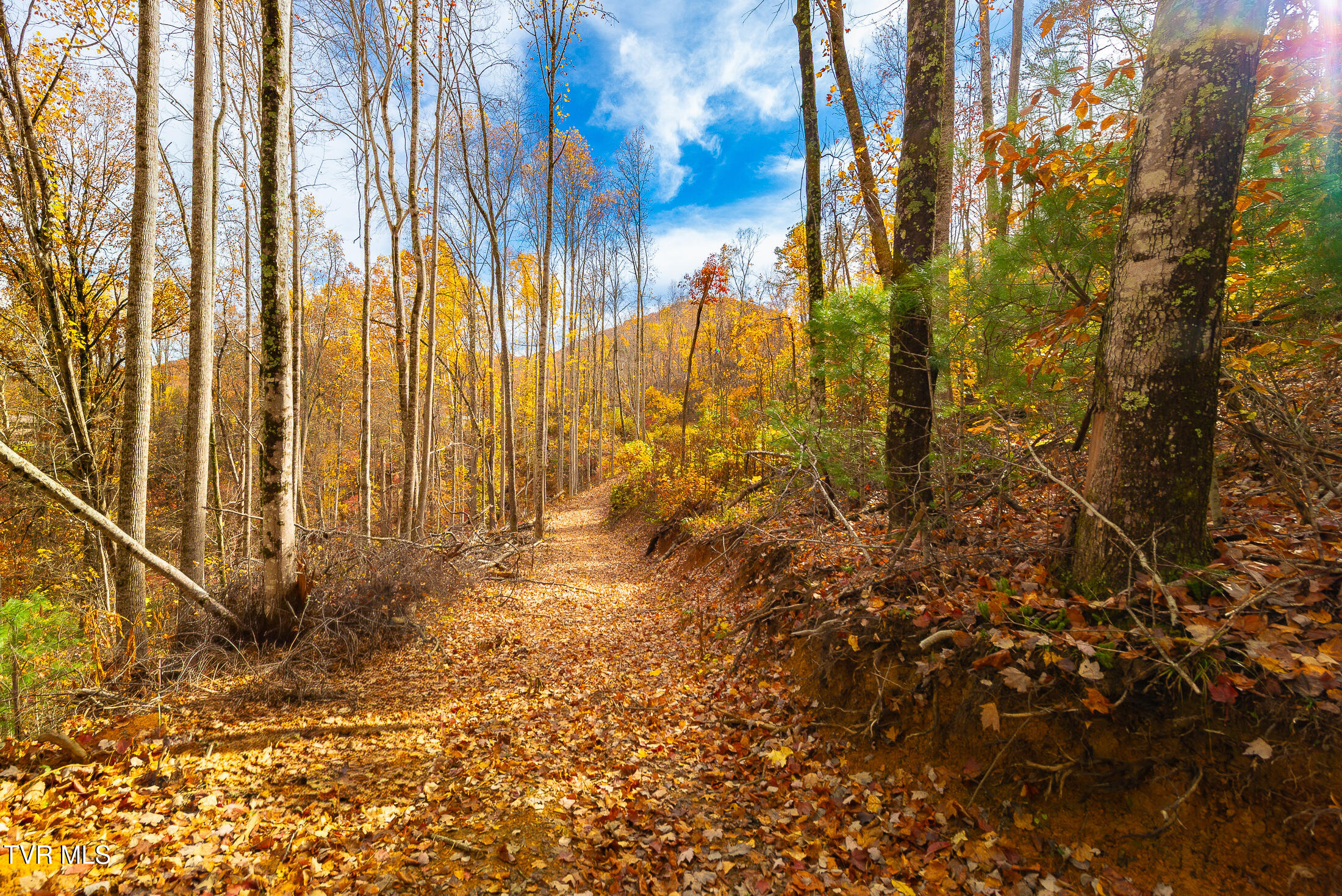 0 Siam Road Elizabethton, TN 37643 - Photo 4 of 39 DSC_3872