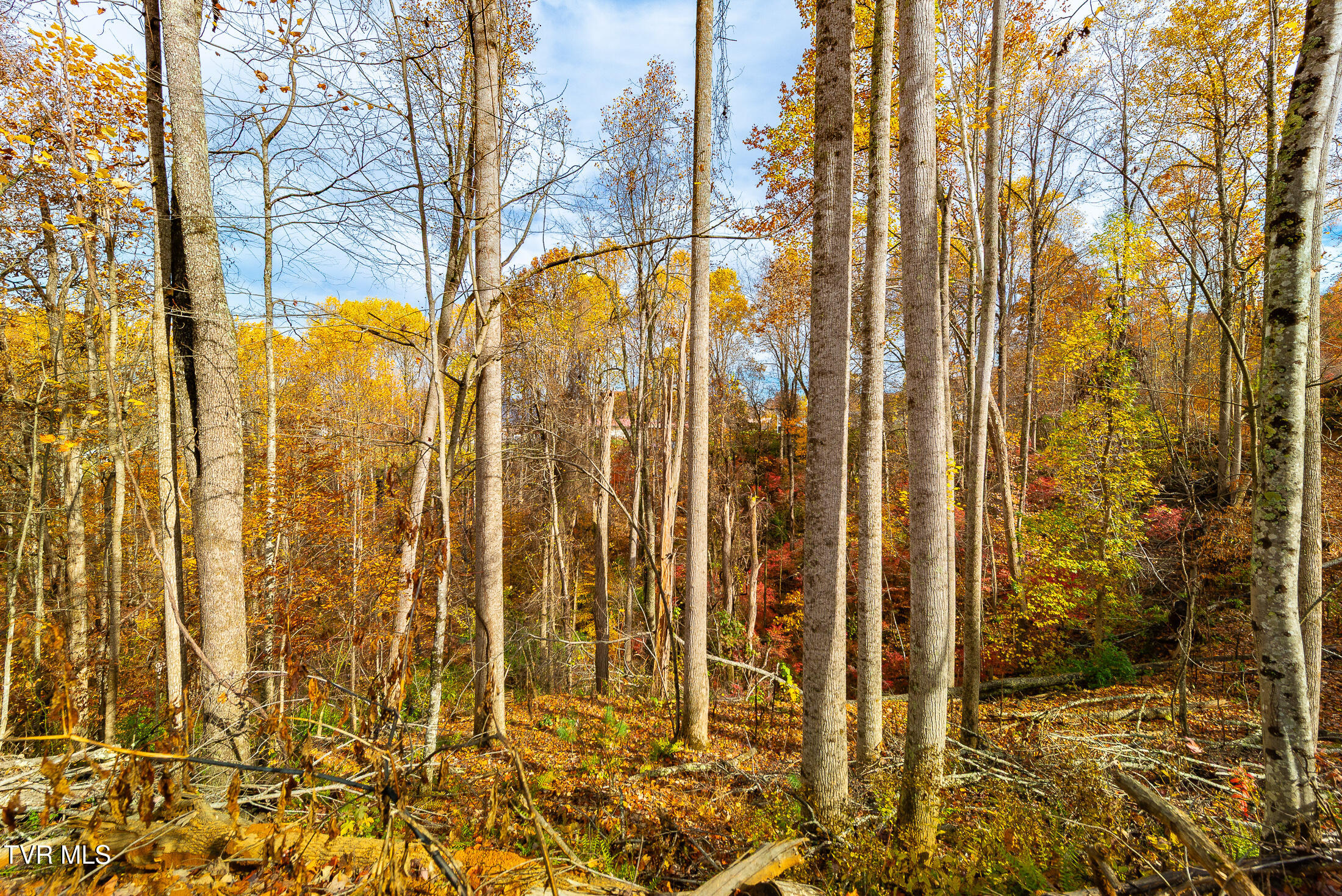 0 Siam Road Elizabethton, TN 37643 - Photo 5 of 39 DSC_3861