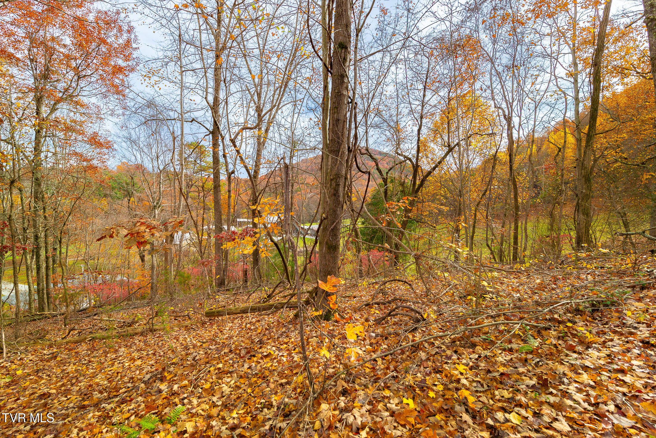 0 Siam Road Elizabethton, TN 37643 - Photo 6 of 39 DSC_3889