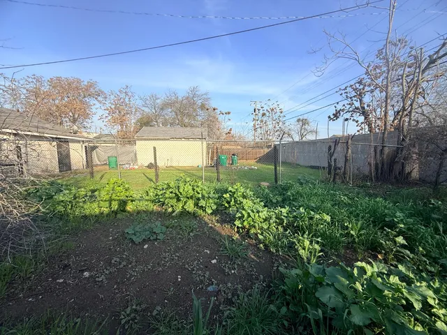 a view of a yard with plants and large trees