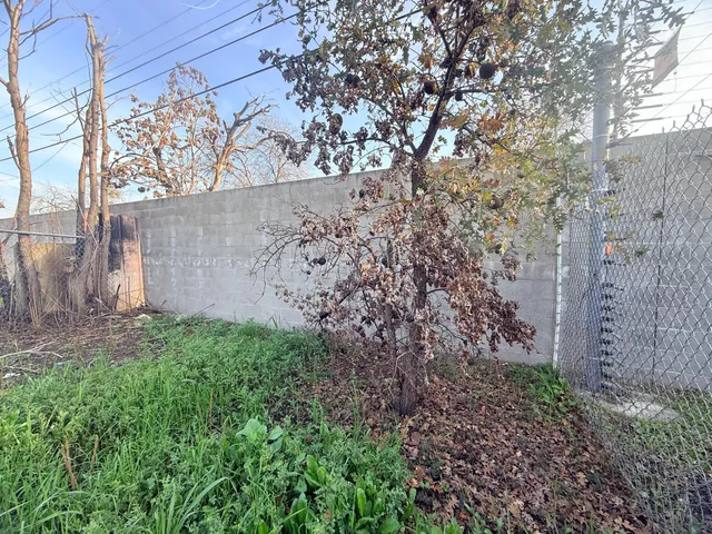 a view of a backyard