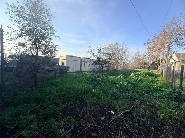 a view of a backyard with plants